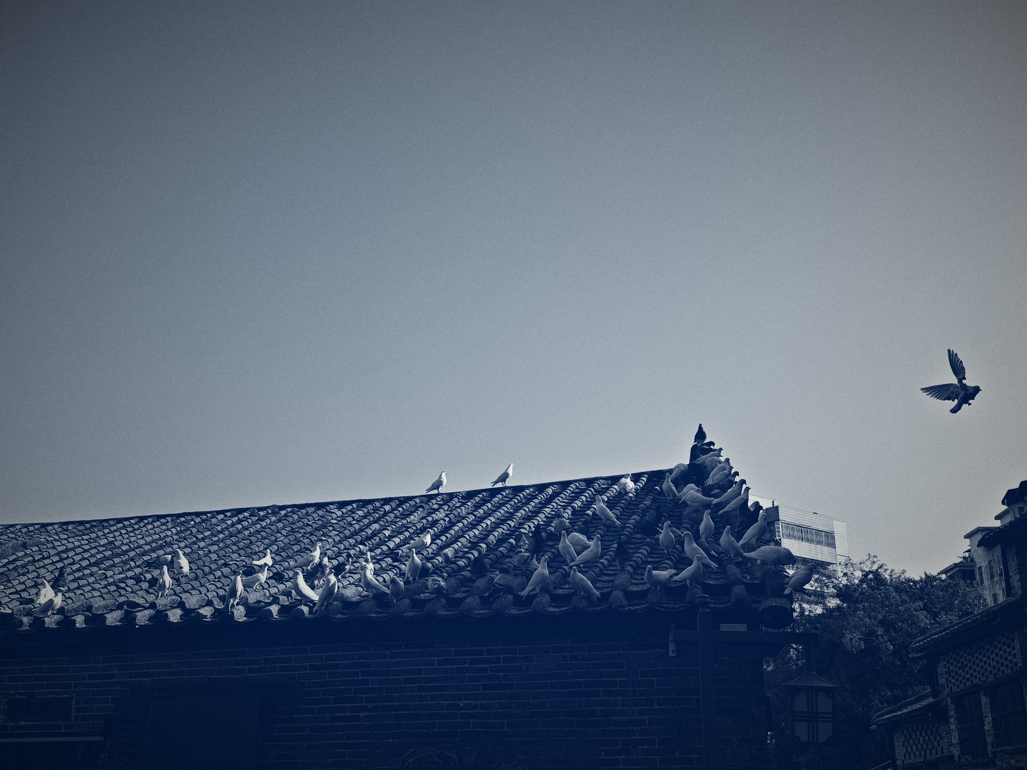 广东摄影集封面